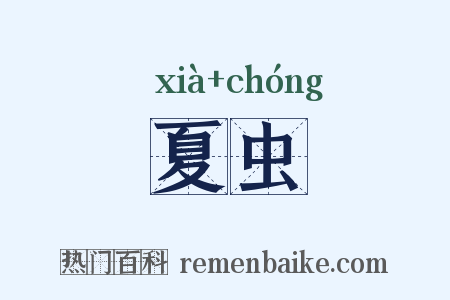 夏虫是什么意思的图片
